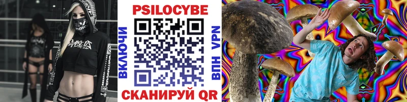 Псилоцибиновые грибы Psilocybine cubensis  Иркутск 