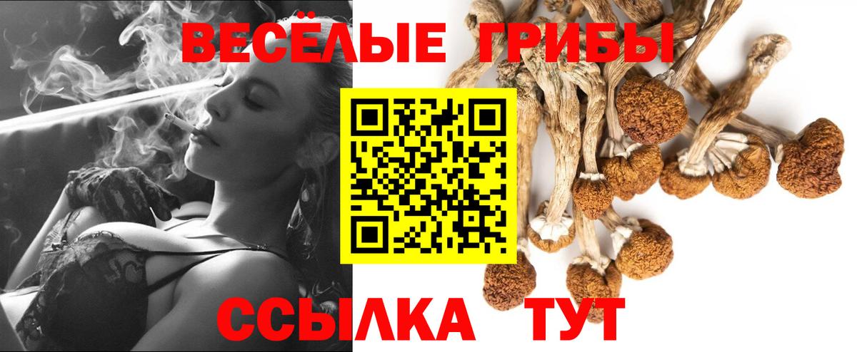 Псилоцибиновые грибы прущие грибы Иркутск