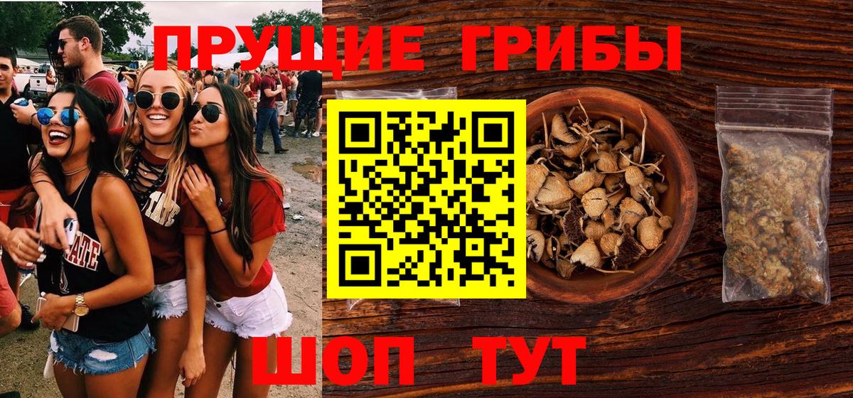 Псилоцибиновые грибы мухоморы  даркнет сайт  Иркутск  Псилоцибиновые грибы MAGIC MUSHROOMS  Вход с VPN 