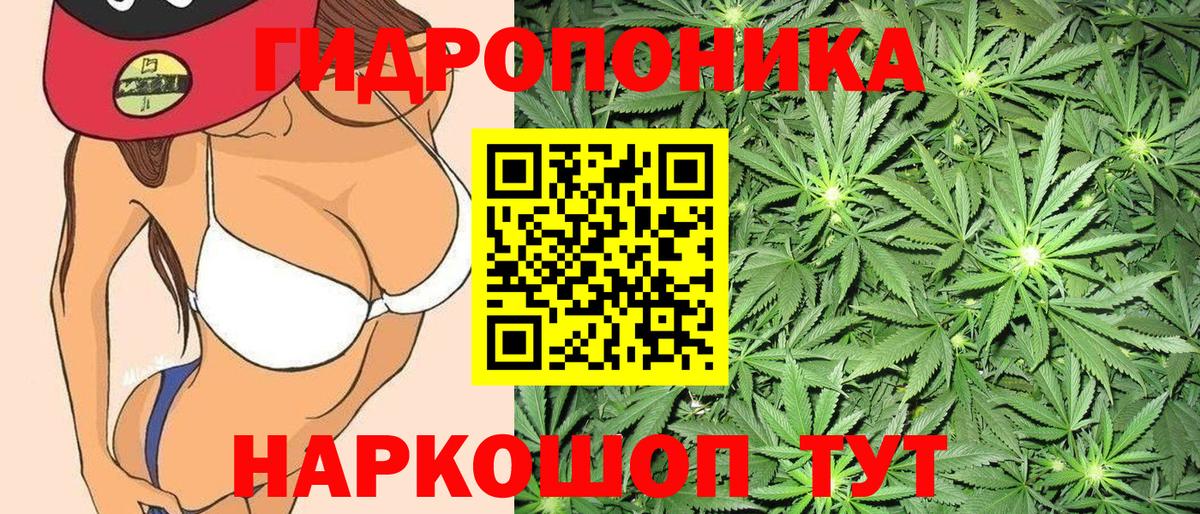 Канабис OG Kush  Бошки Шишки AK-47  Вход с VPN  Каннабис гибрид  Иркутск  МАРИХУАНА Bruce Banner 